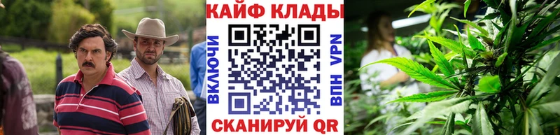 Псилоцибиновые грибы Магадан
