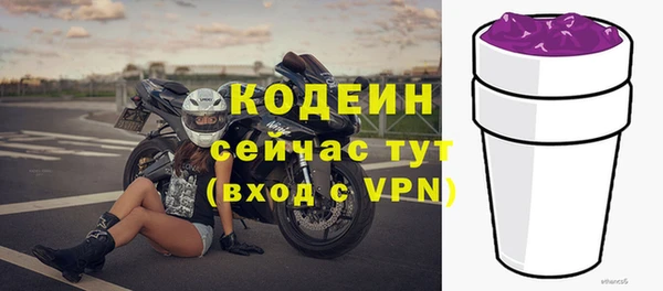 эйфоретик Вяземский