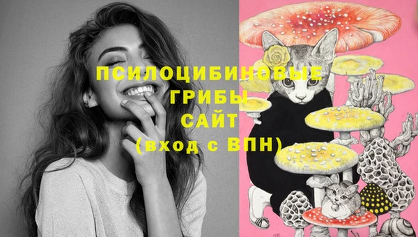 эйфоретик Вяземский