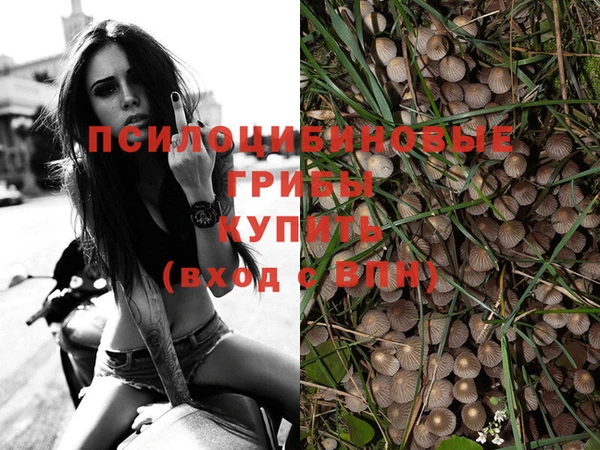 эйфоретик Вяземский