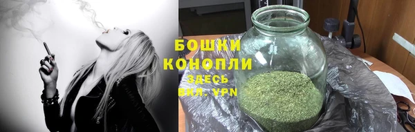 эйфоретик Вяземский