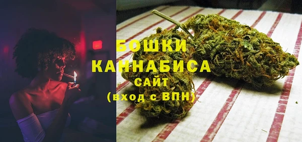 эйфоретик Вяземский