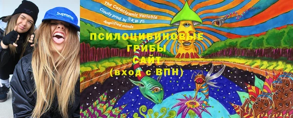 эйфоретик Вяземский