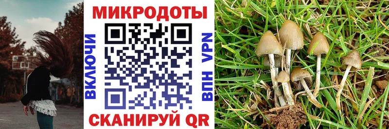 Купить закладки  Магадан  Галлюциногенные грибы Psilocybine cubensis 